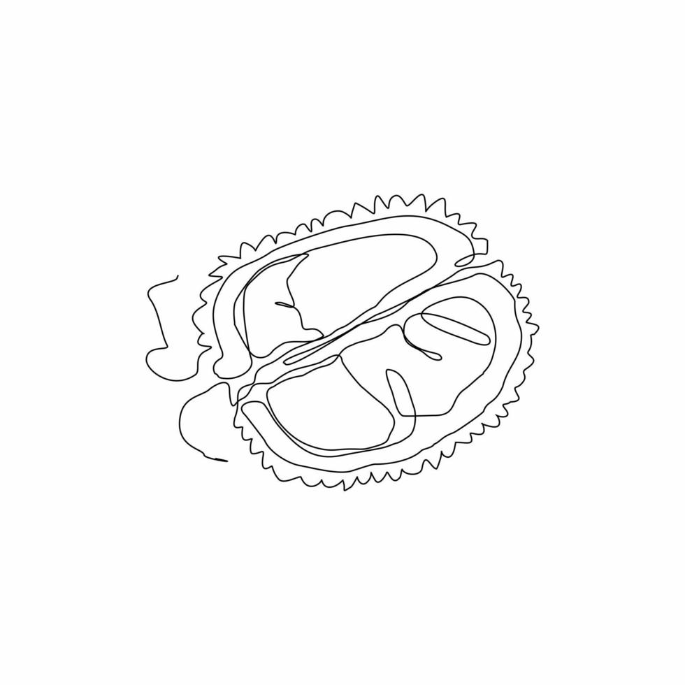 durian fruit continuous line illustration art vector