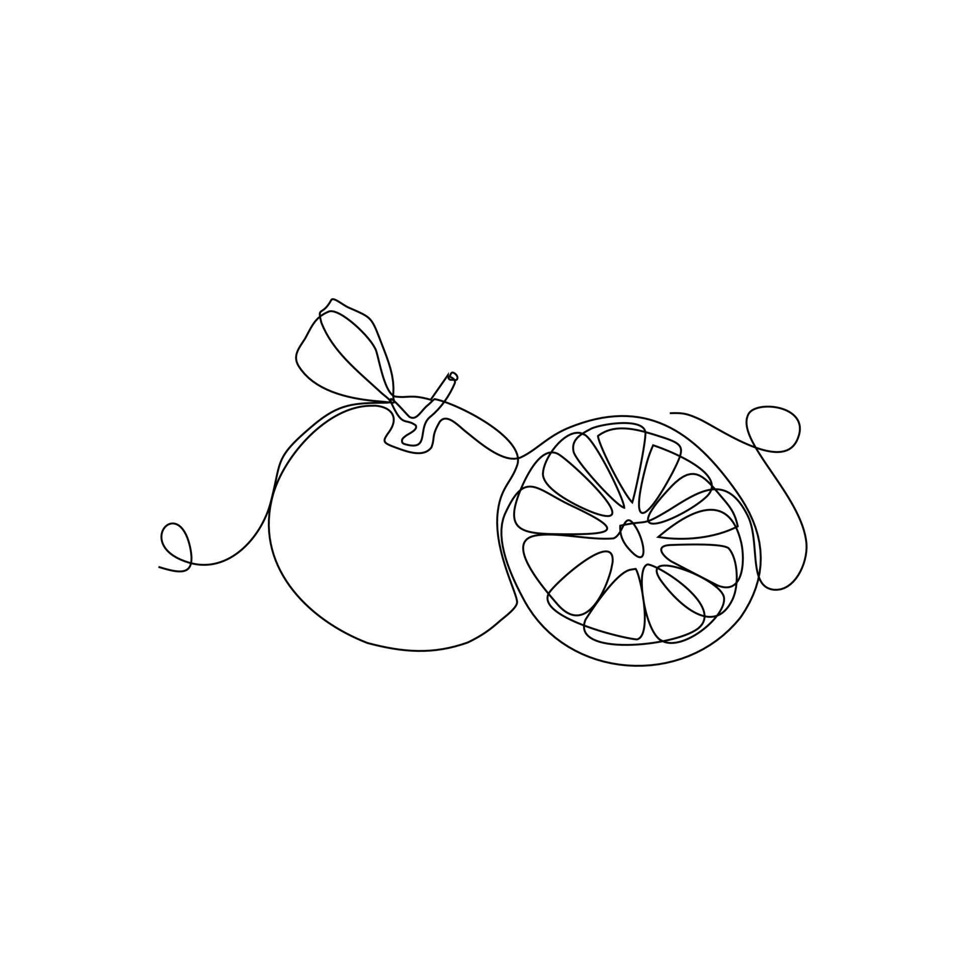 continuous line art of orange fruit 21231710 Vector Art at Vecteezy