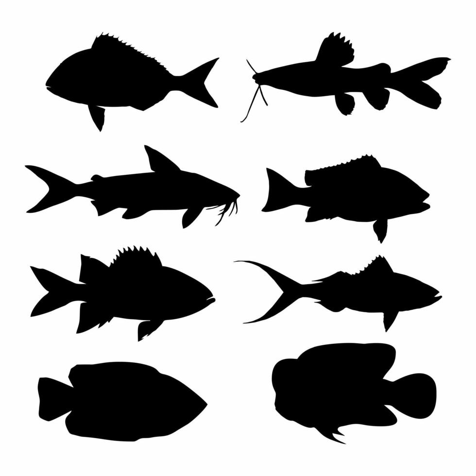 silueta pescado icono colocar. negro y blanco haz vector