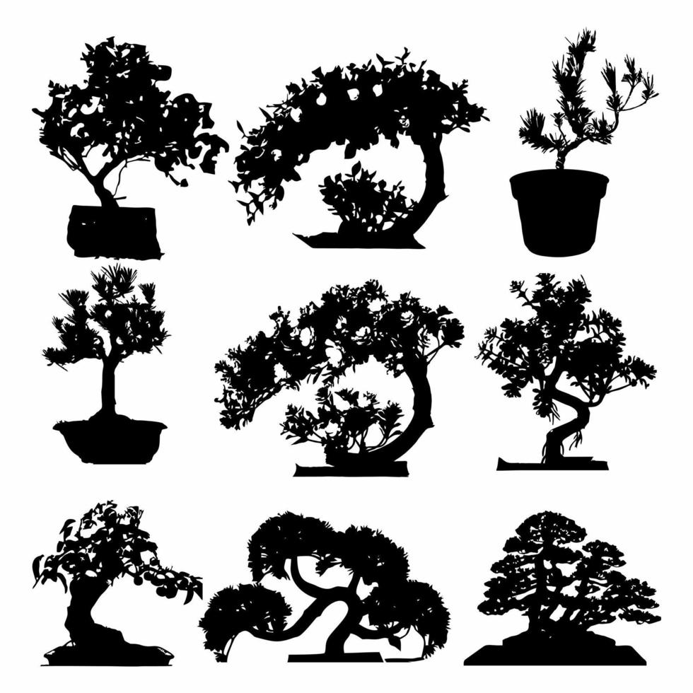 bonsai tree silhouette white background vector