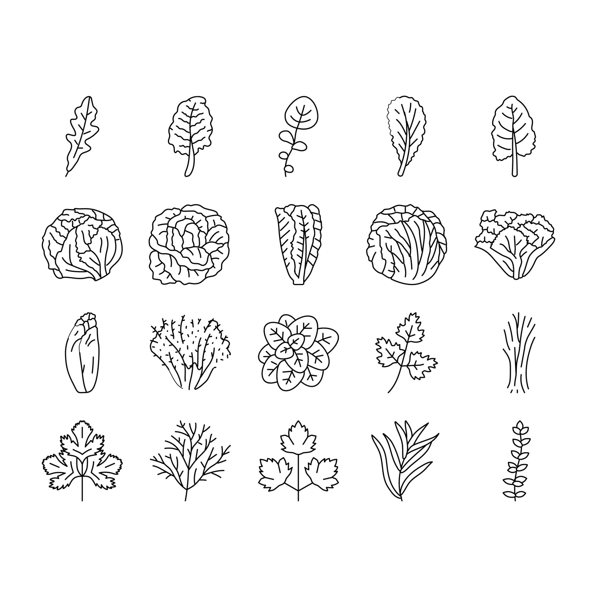 salad food healthy green fresh icons set vector 21232169 Vector Art at