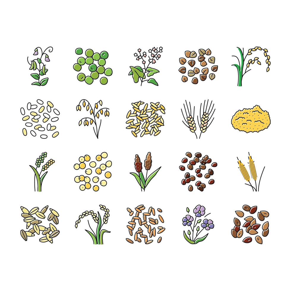 cereal plant healthy food icons set vector