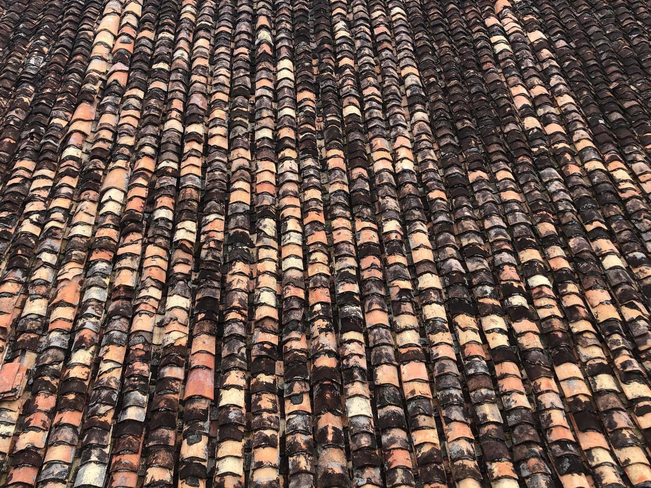 Moudly Roof Tile Pattern photo