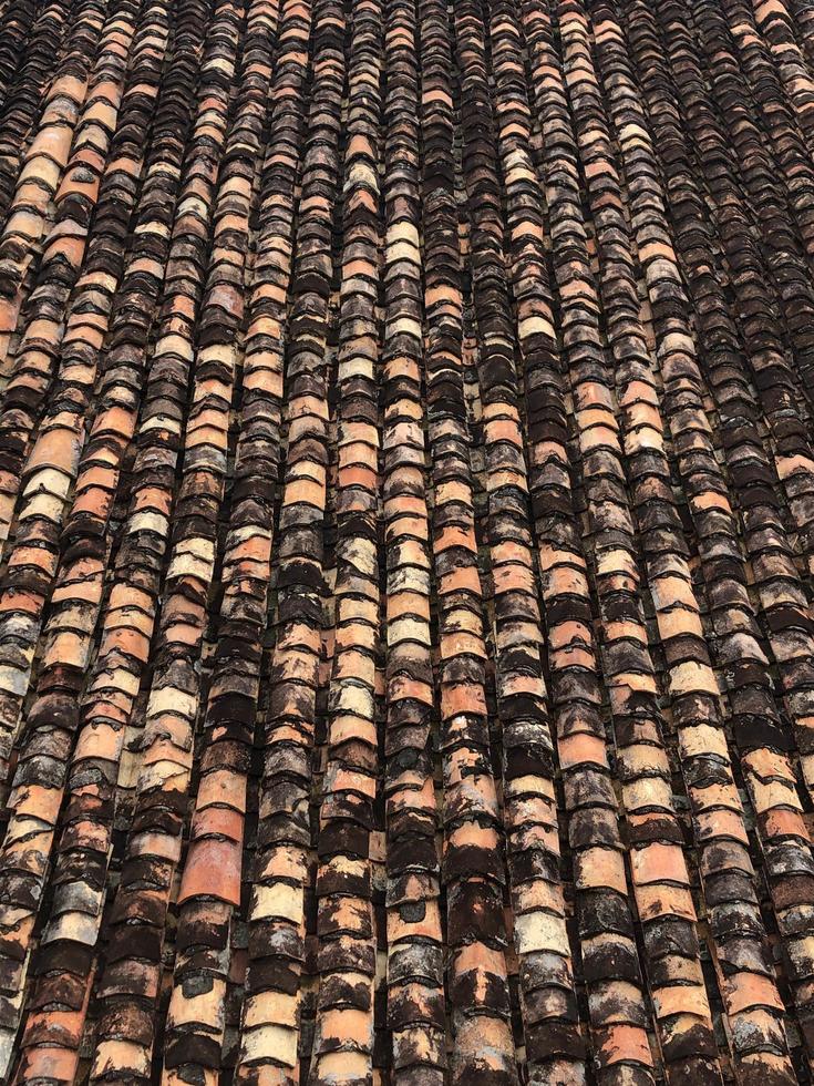 Moudly Roof Tile Pattern photo