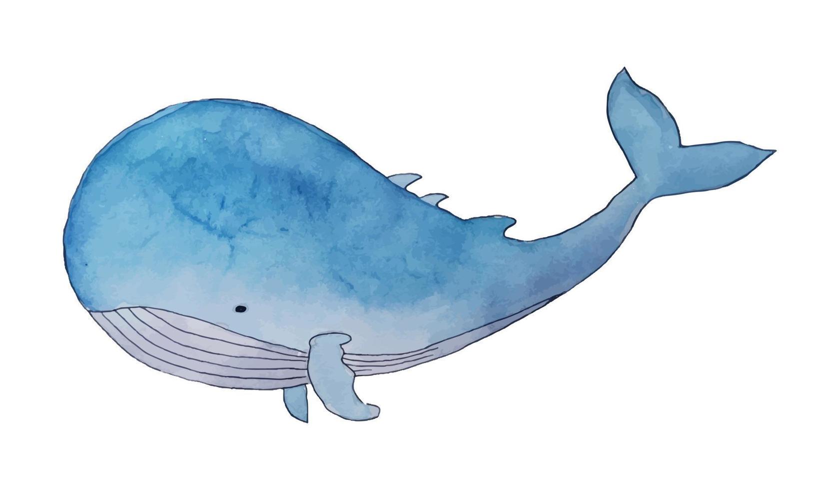 Blue whale watercolor art isolated on white background vector