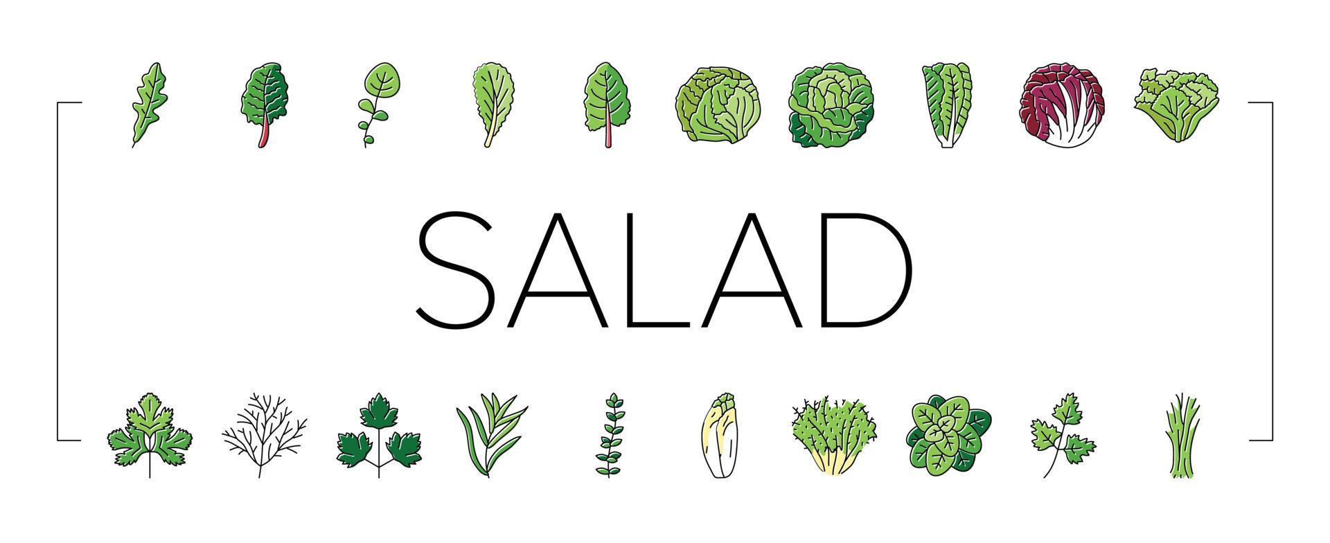 salad food healthy green fresh icons set vector