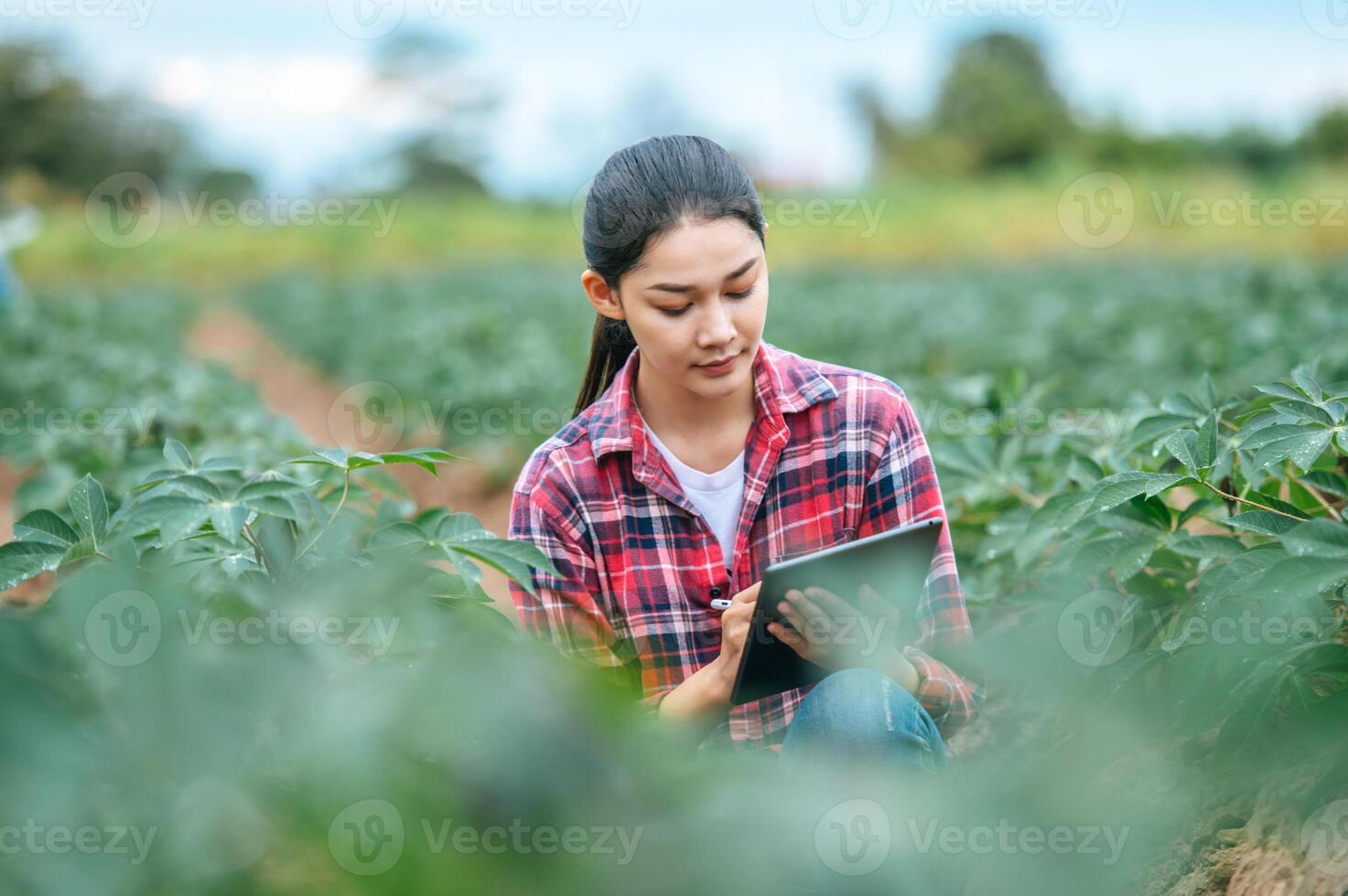 una joven agricultora asiática con una tableta en las manos examina el campo verde. tecnologías modernas en gestión agrícola y concepto de agronegocios. foto