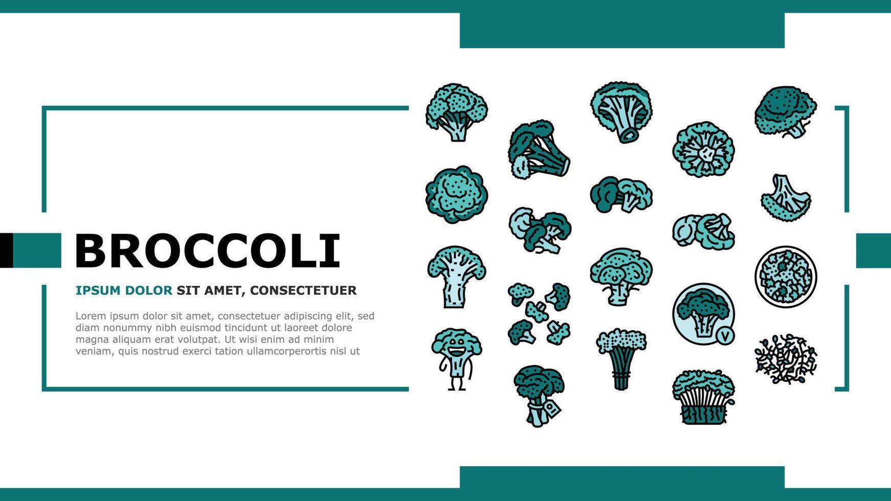 broccoli food cabbage vegetable landing header vector