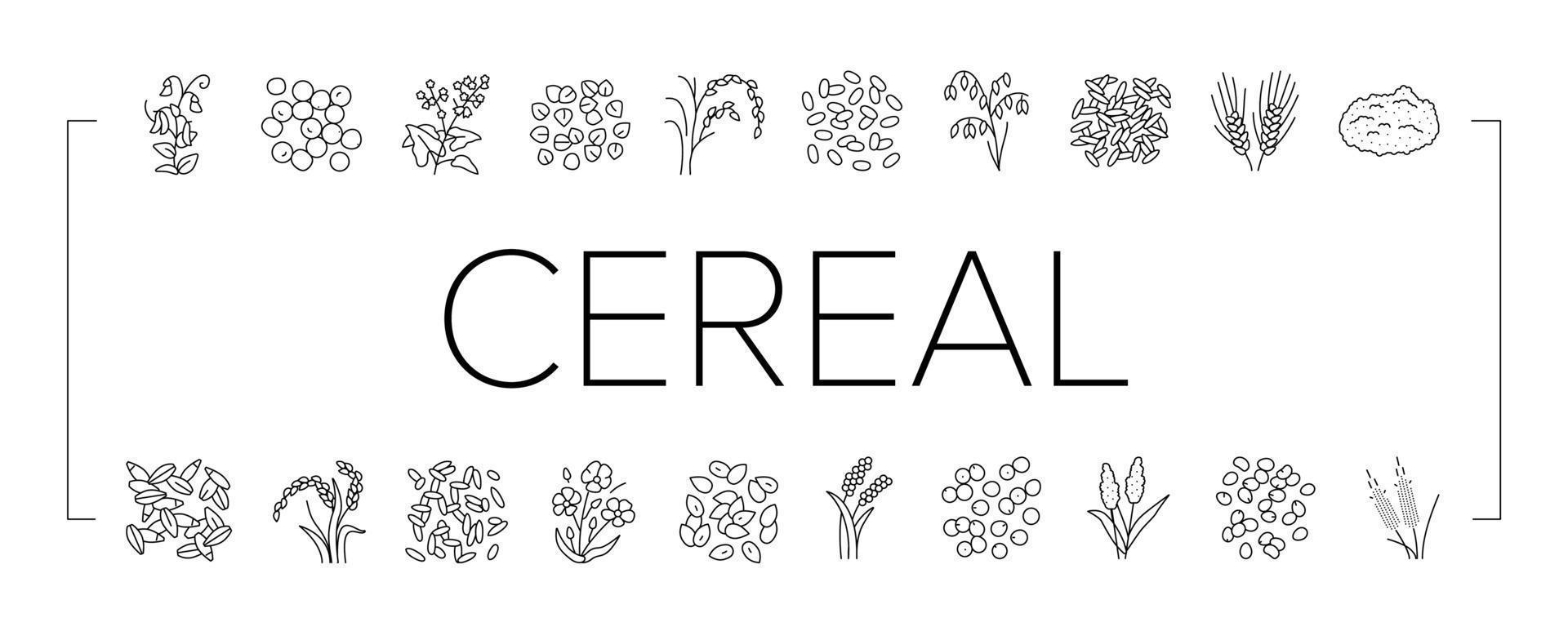 cereal plant healthy food icons set vector