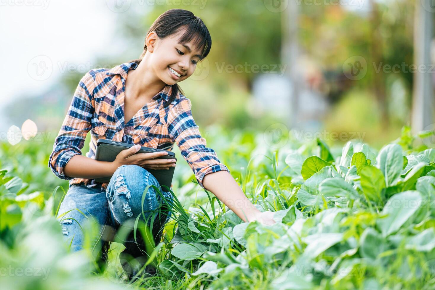 Teenage female sitting and use digital pen and tablet in farm 21233498