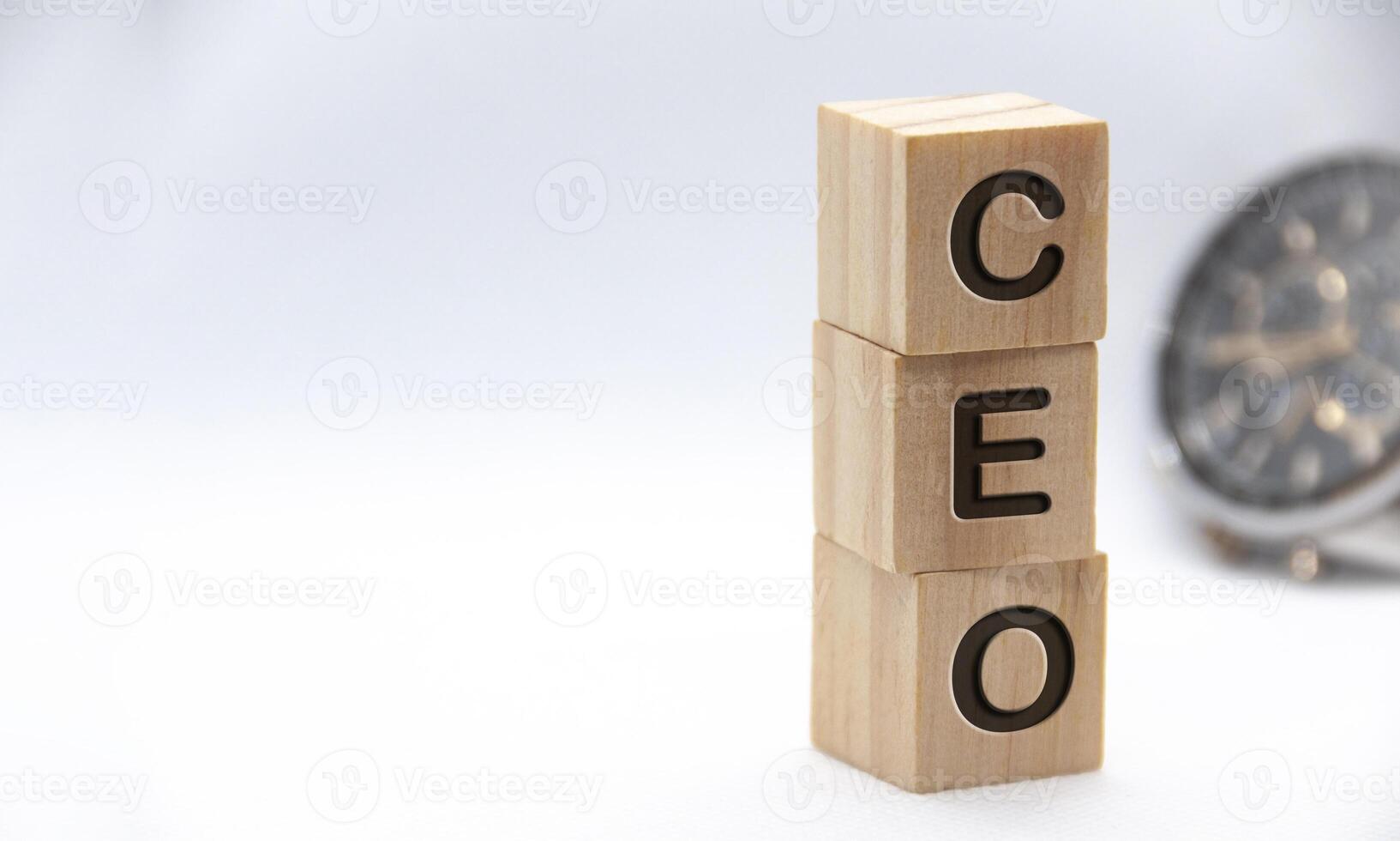 CEO text representing Chief Executive Officer engraved on wooden blocks with customizable space for text. Copy space and Senior Management concept photo