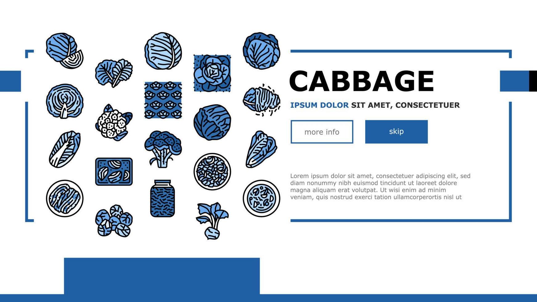Cabbage Natural Vitamin Food landing header vector