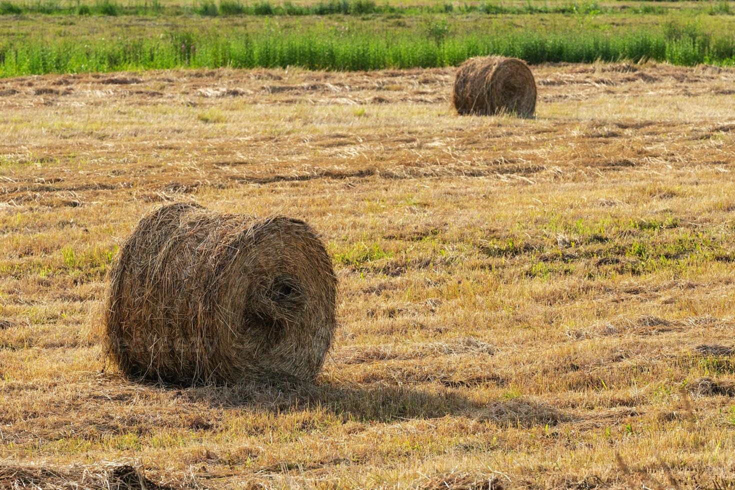 Countryside landscape, view of yellow rolls of hay photo