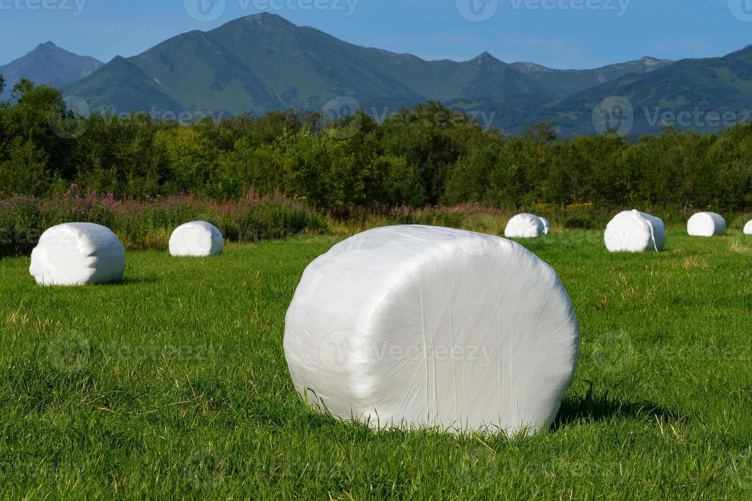 Haystack packed in white pulp packaging ready transportation photo