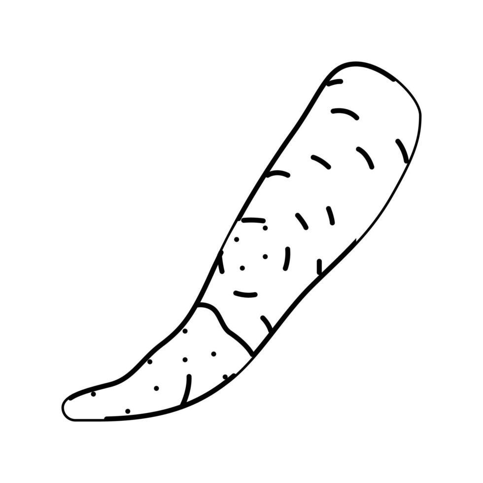 Zanahoria podrido comida línea icono vector ilustración