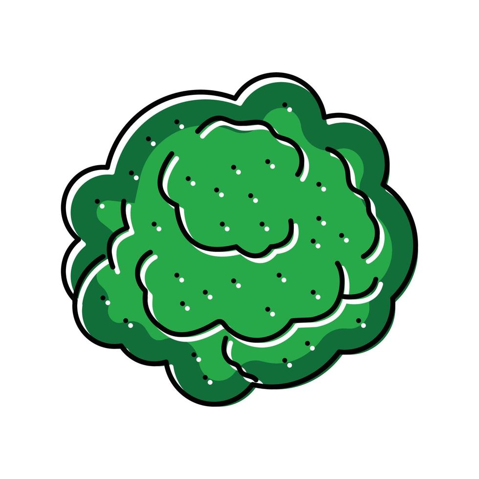 brócoli planta color icono vector ilustración