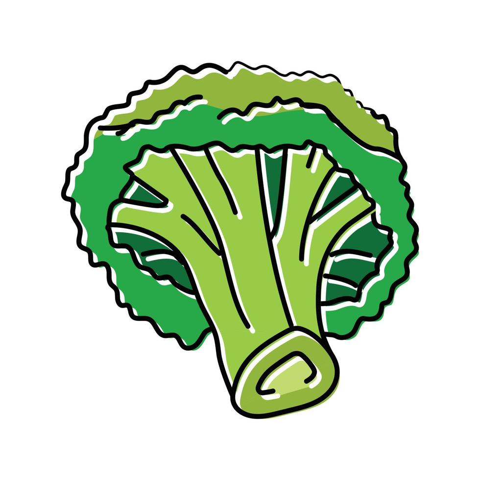 broccoli vegetable color icon vector illustration