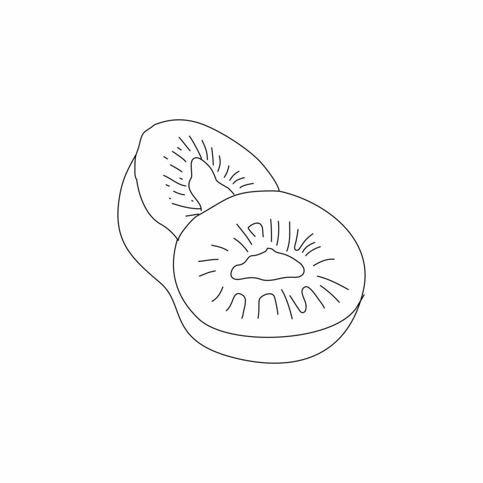 Kiwifruit continuous line art illustration vector