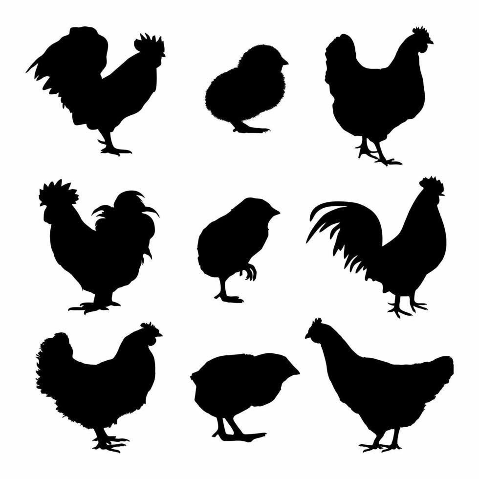 Chicken bundle silhouette isolated on white background vector