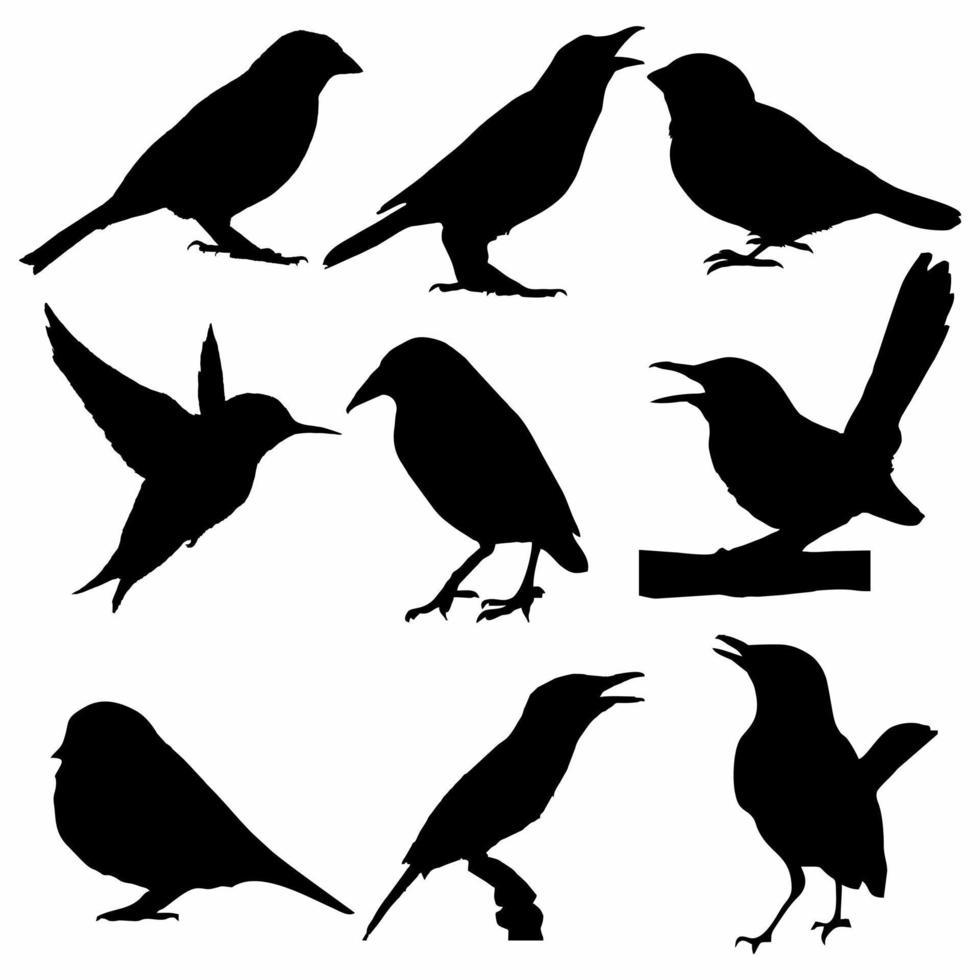 silueta de pájaro icono colocar. manojos vector