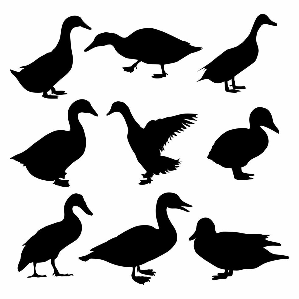 Black and white silhouette of Duck Bundle icon vector