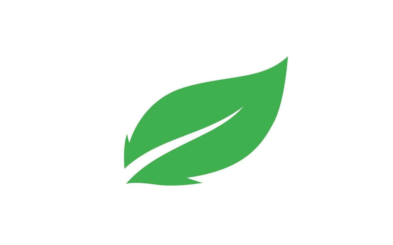 Leaf logo design inspiration. Vector template design for brand.