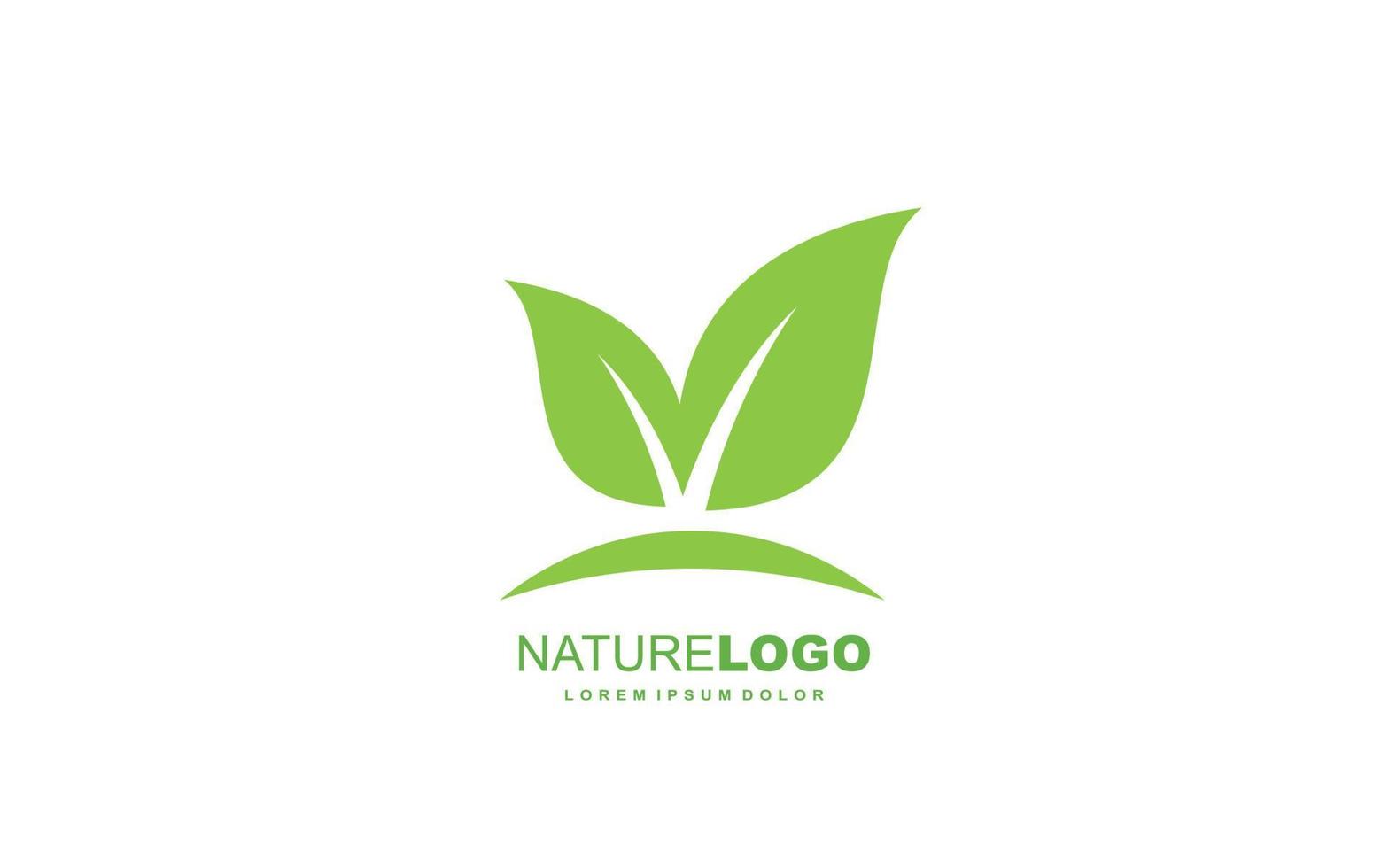 Leaf logo design inspiration. Vector template design for brand.