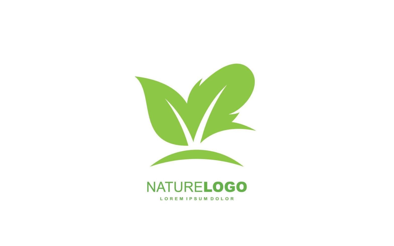 Leaf logo design inspiration. Vector template design for brand.