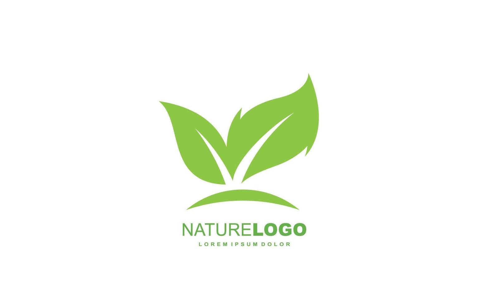 Leaf logo design inspiration. Vector template design for brand.