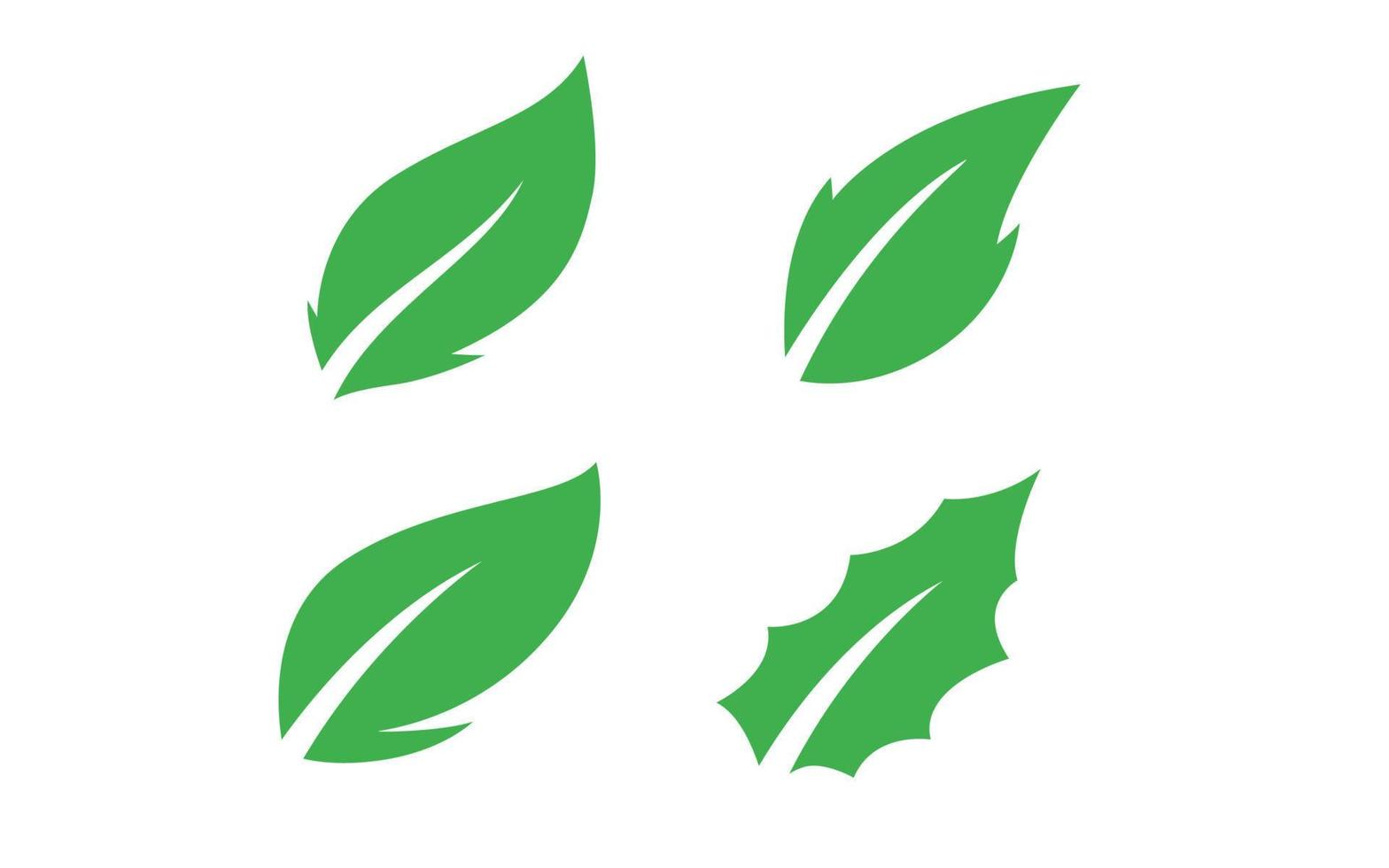 Leaf logo design inspiration. Vector template design for brand.