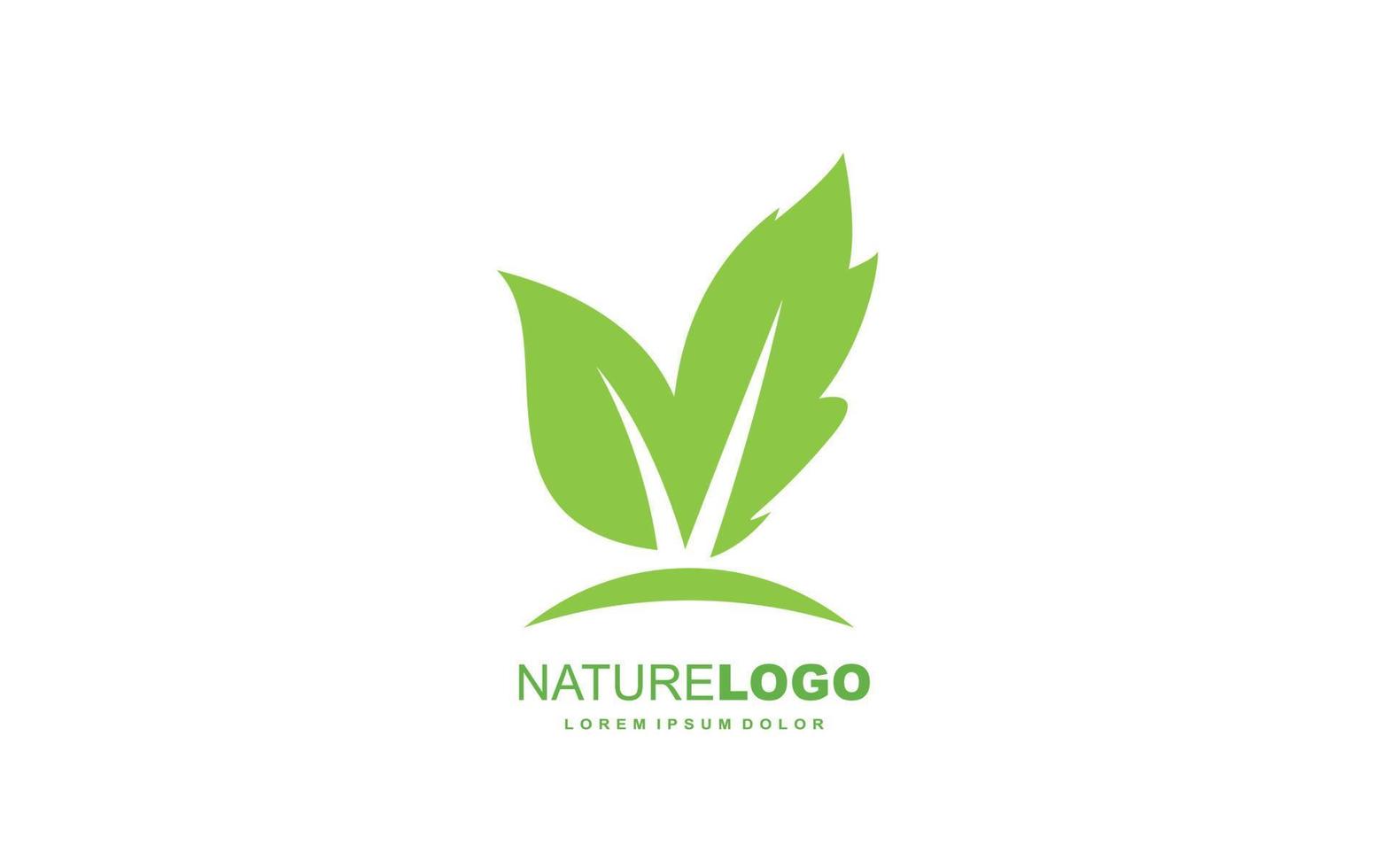 Leaf logo design inspiration. Vector template design for brand.