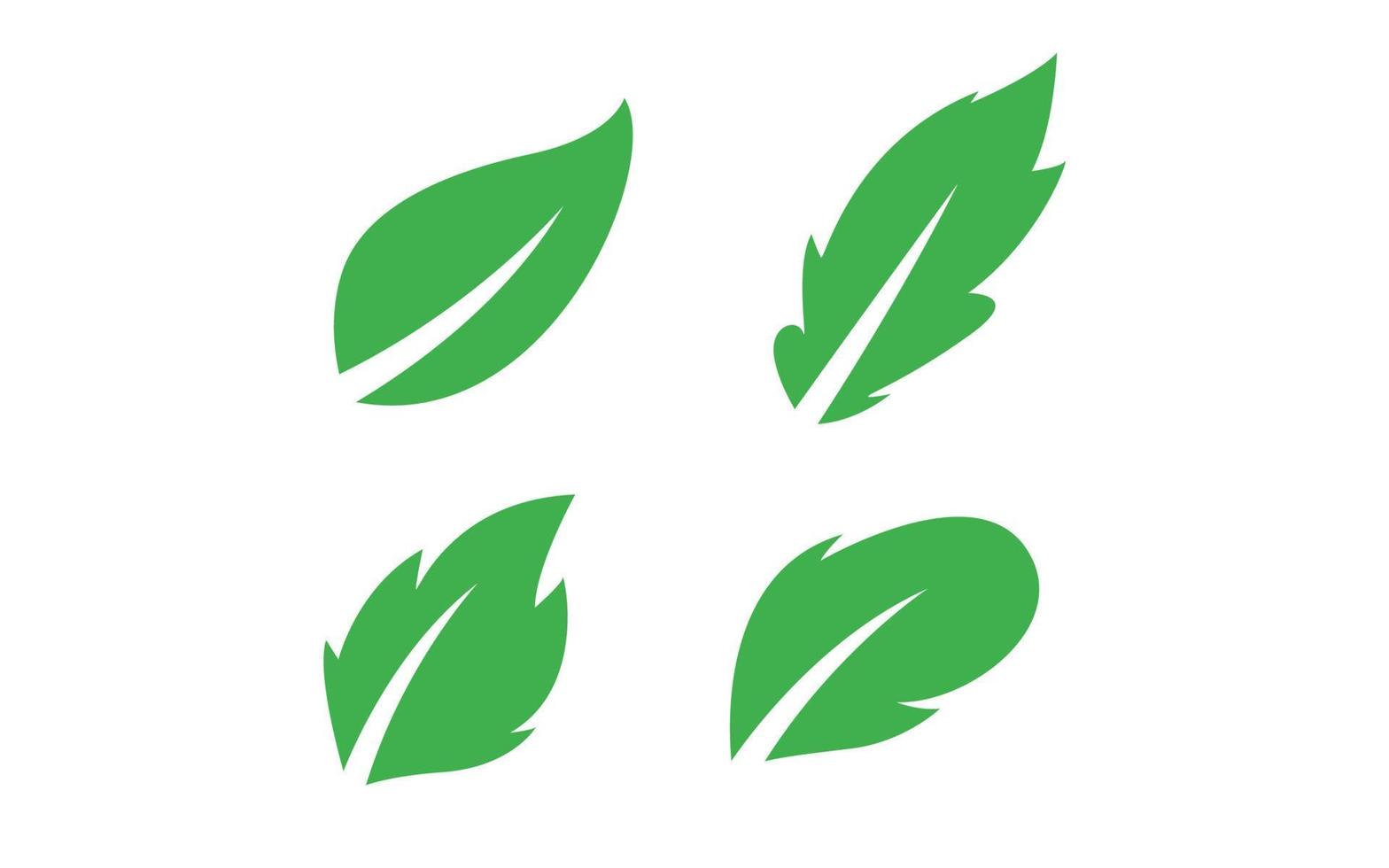 Leaf logo design inspiration. Vector template design for brand