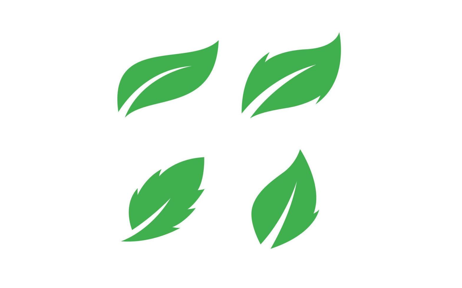 Leaf logo design inspiration. Vector template design for brand.