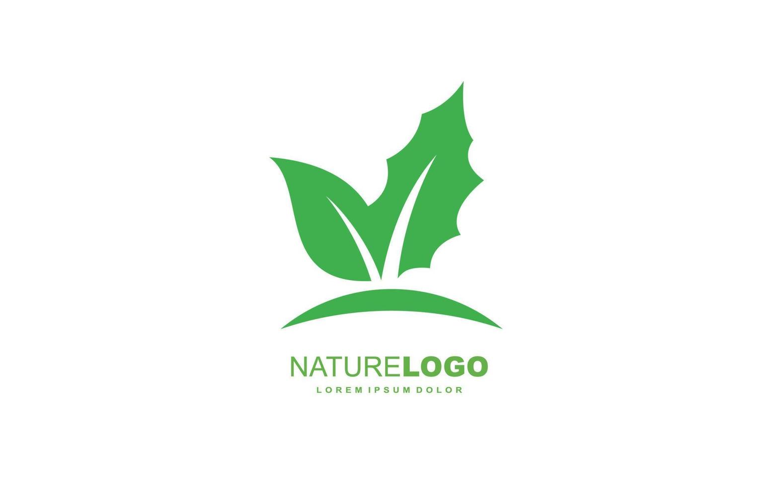 Leaf logo design inspiration. Vector template design for brand.