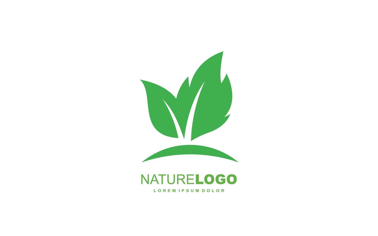 Leaf logo design inspiration. Vector template design for brand.