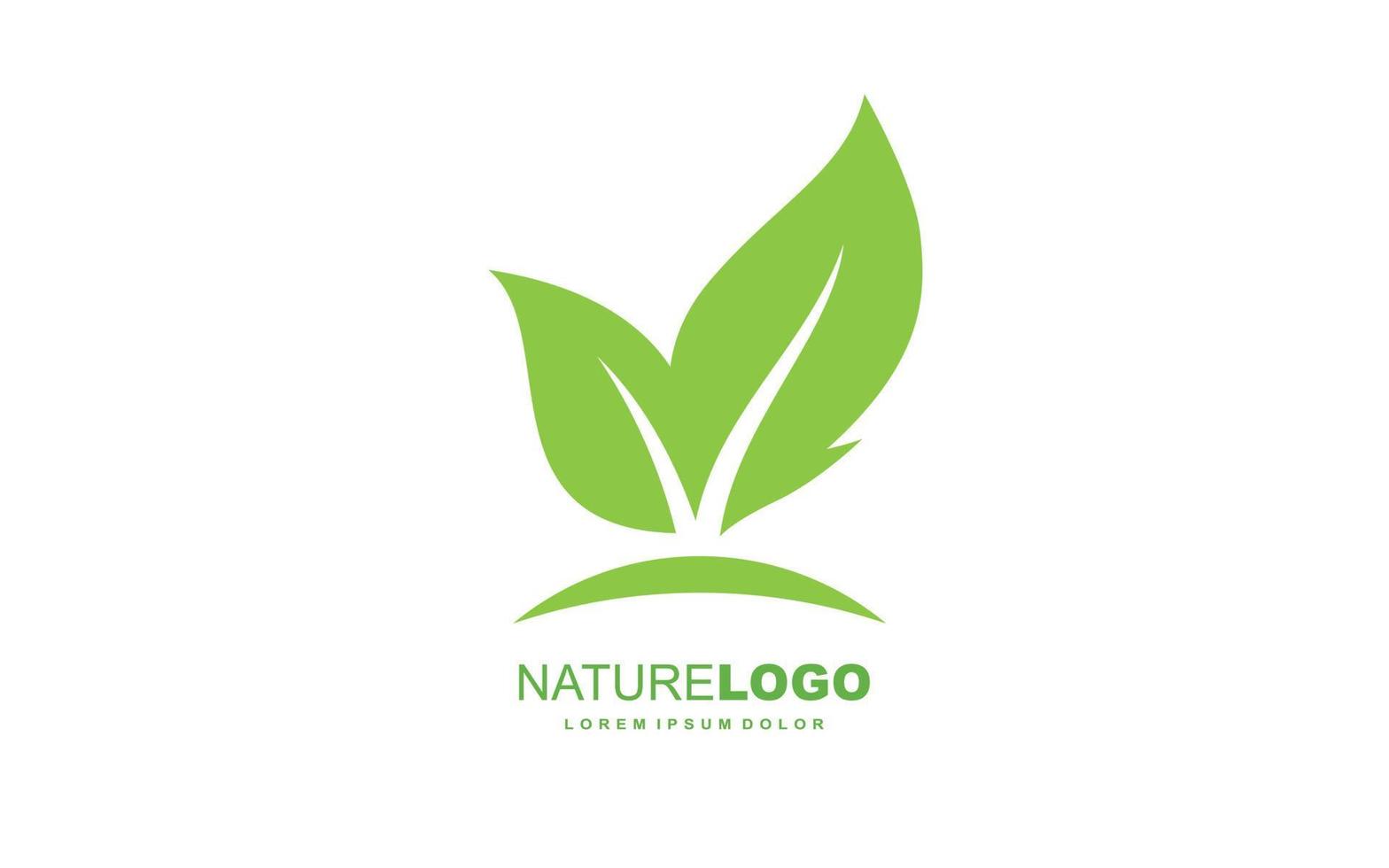 Leaf logo design inspiration. Vector template design for brand.