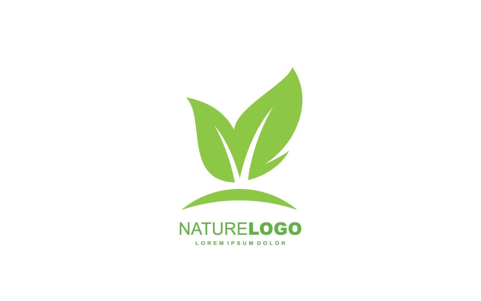 Leaf logo design inspiration. Vector template design for brand.