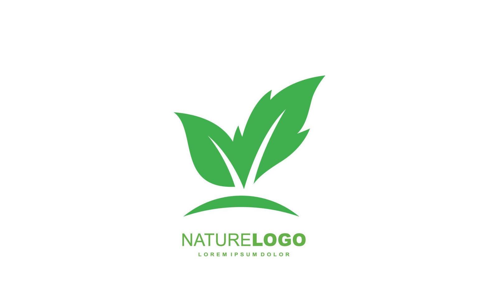 Leaf logo design inspiration. Vector template design for brand.