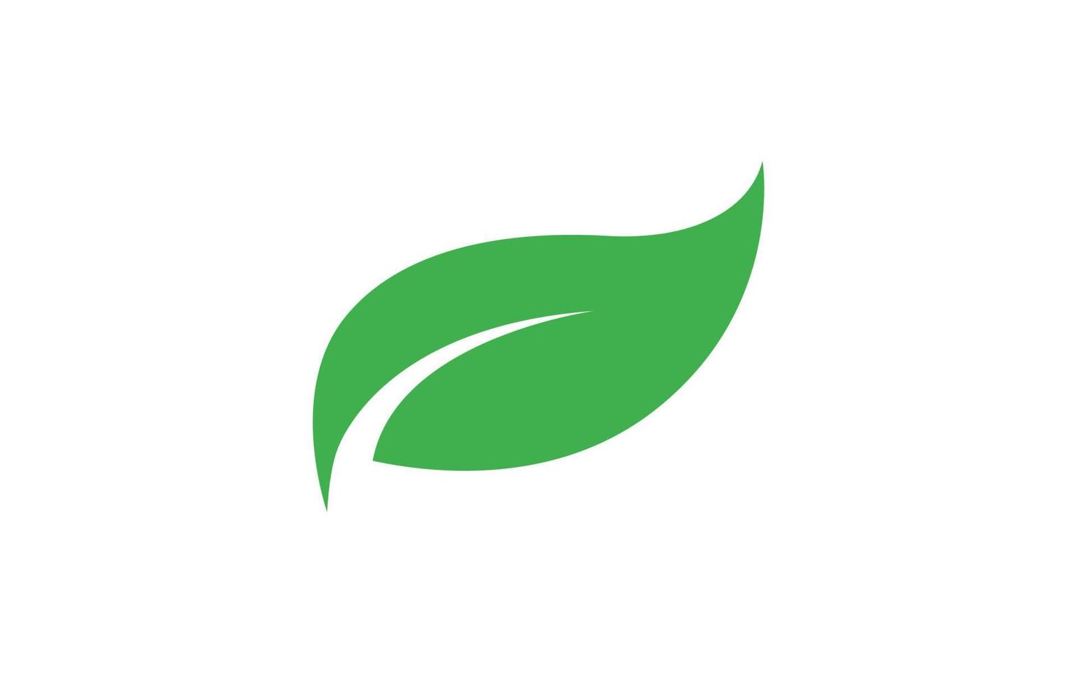 Leaf logo design inspiration. Vector template design for brand.