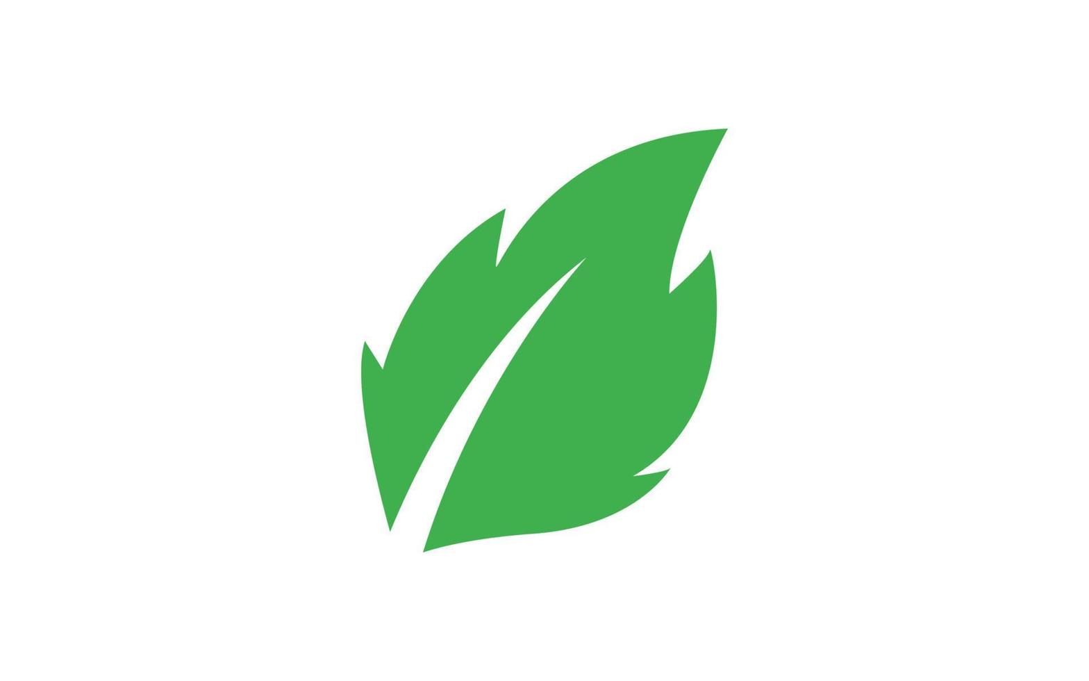 Leaf logo design inspiration. Vector template design for brand.