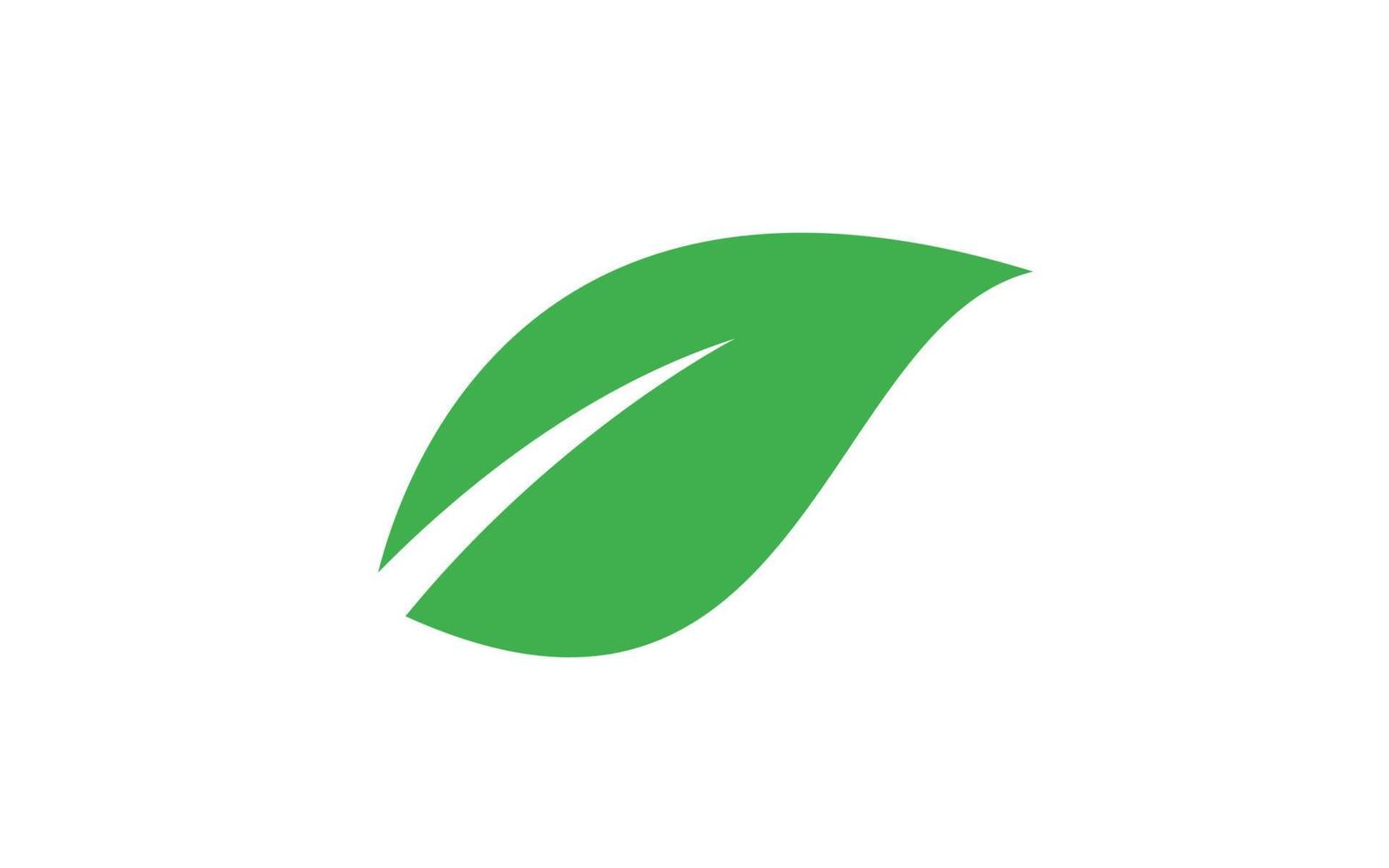 Leaf logo design inspiration. Vector template design for brand.