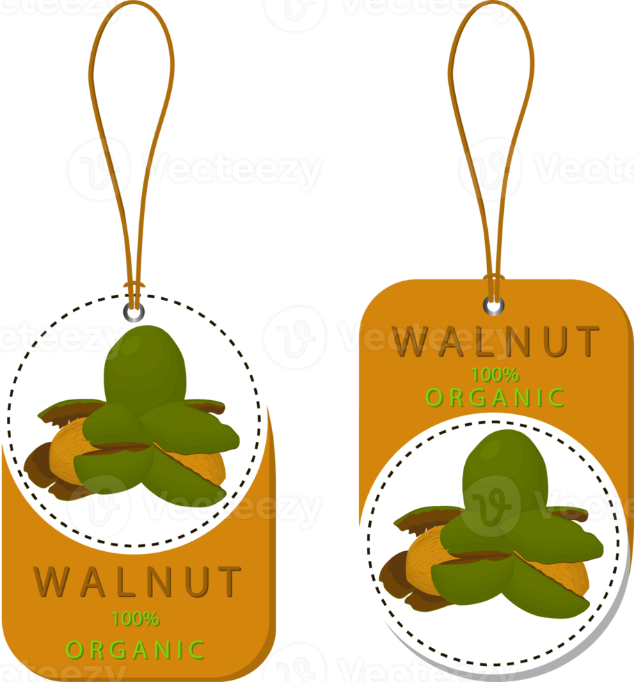 big set different types walnut in nutshell png