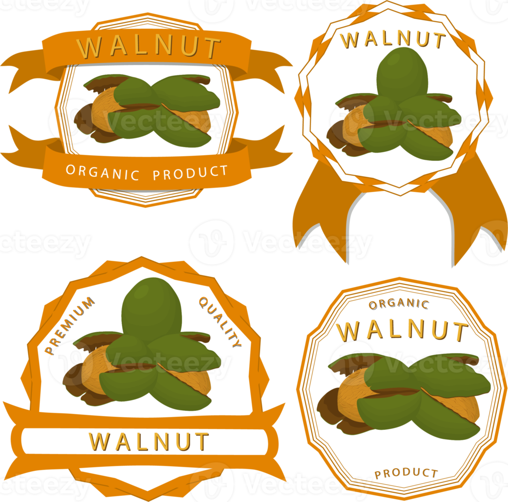 gros ensemble différent les types noyer dans coquille de noix png