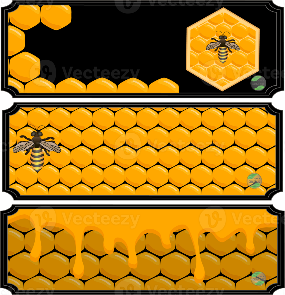 Various sweet tasty natural honey from honeycomb png