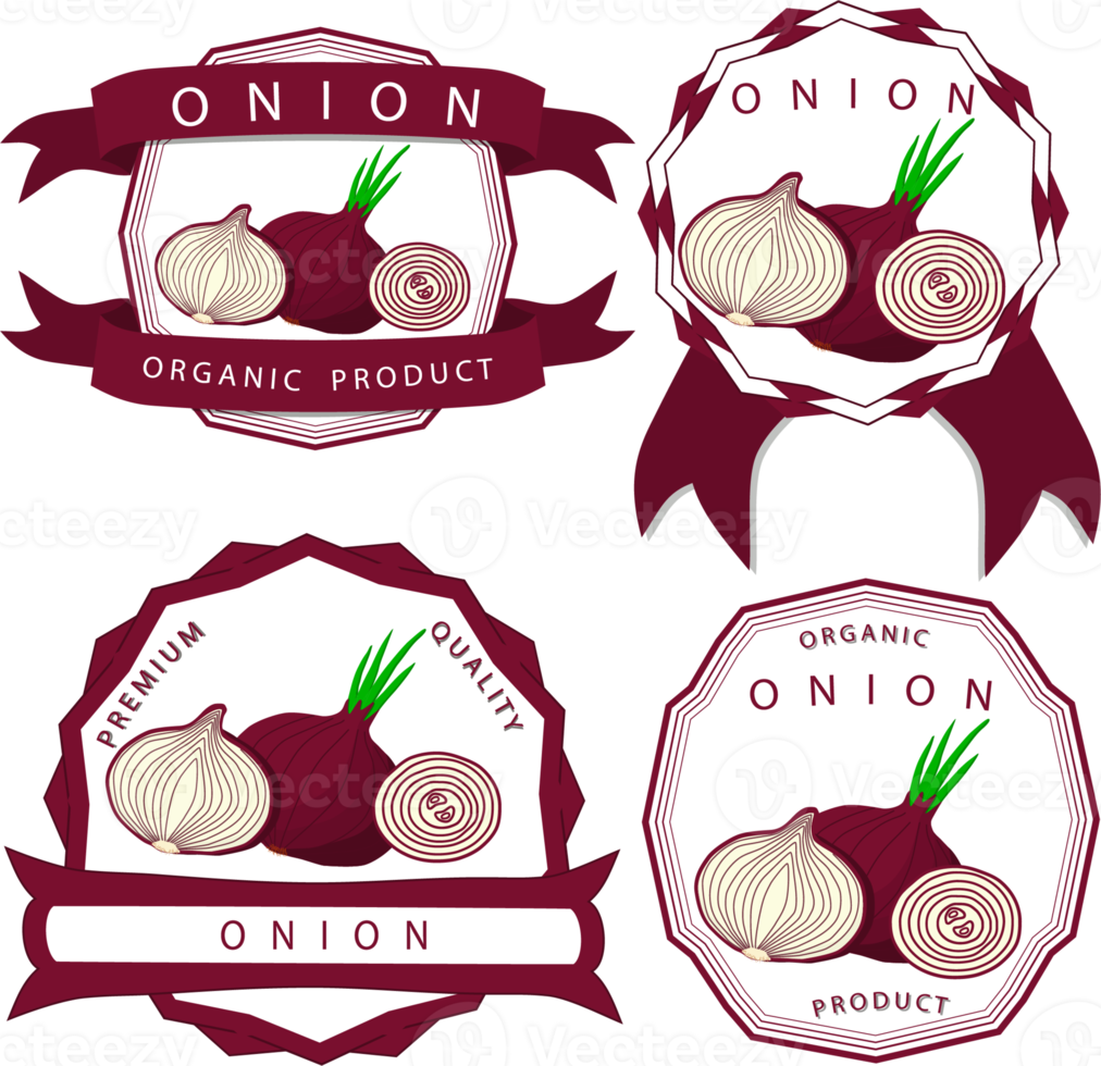 Sweet juicy tasty natural eco product onion png