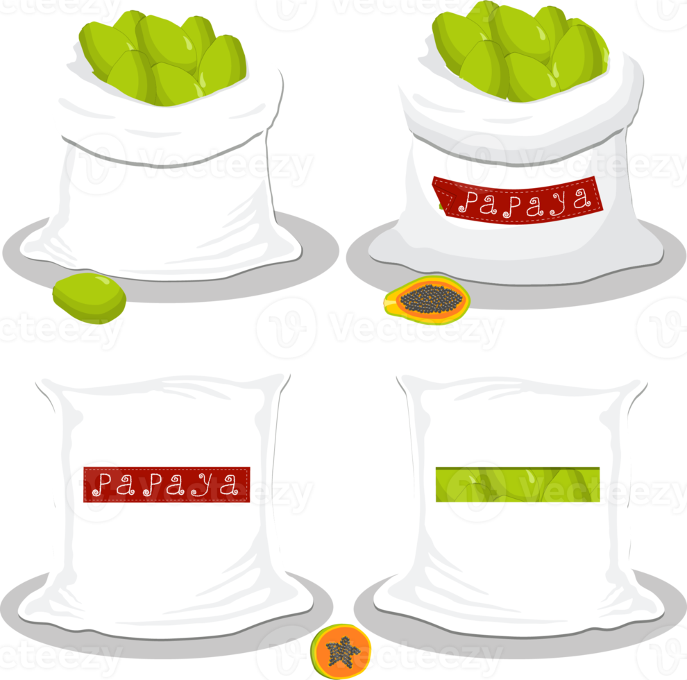 Set of big bags with natural product food 21253497 PNG