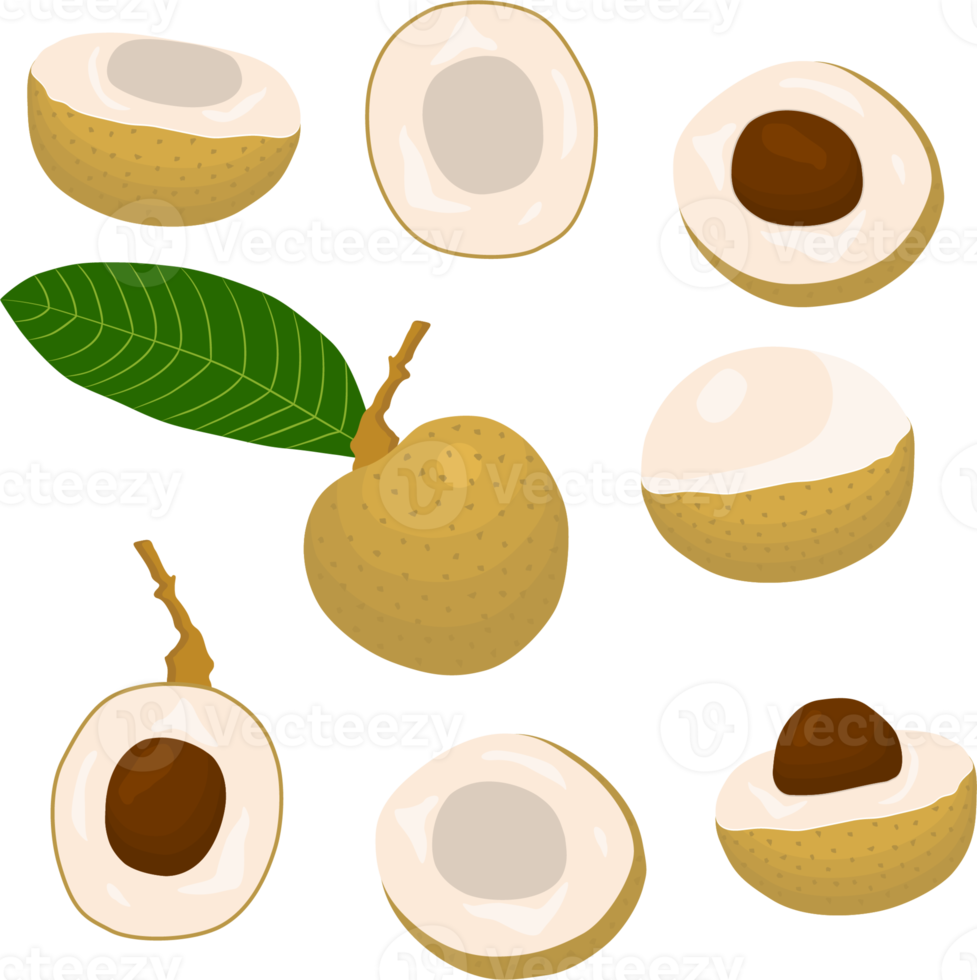 Sweet juicy tasty natural eco product longan png