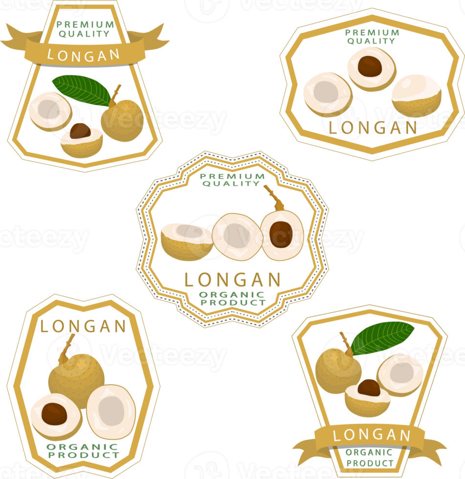 zoet sappig smakelijk natuurlijk eco Product longan png