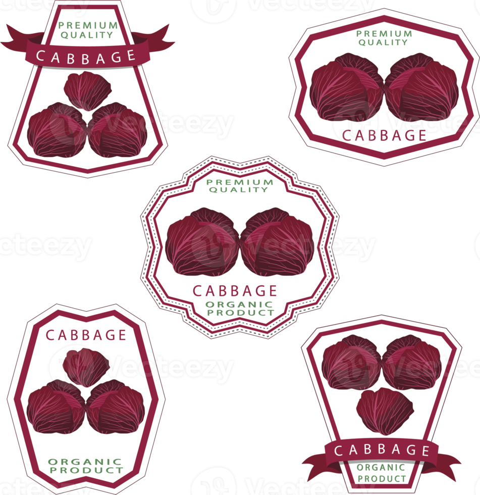 Sweet juicy tasty natural eco product cabbage png