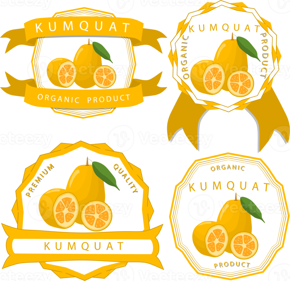 Sweet juicy tasty natural eco product kumquat png